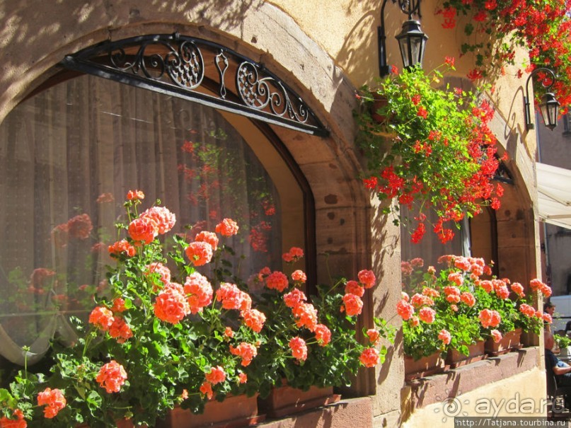 Сказочный маршрут средневекового города.