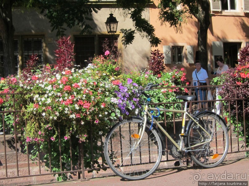 Сказочный маршрут средневекового города.