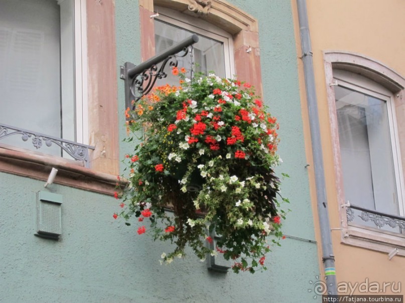 Архитектура и цветы Страсбурга.