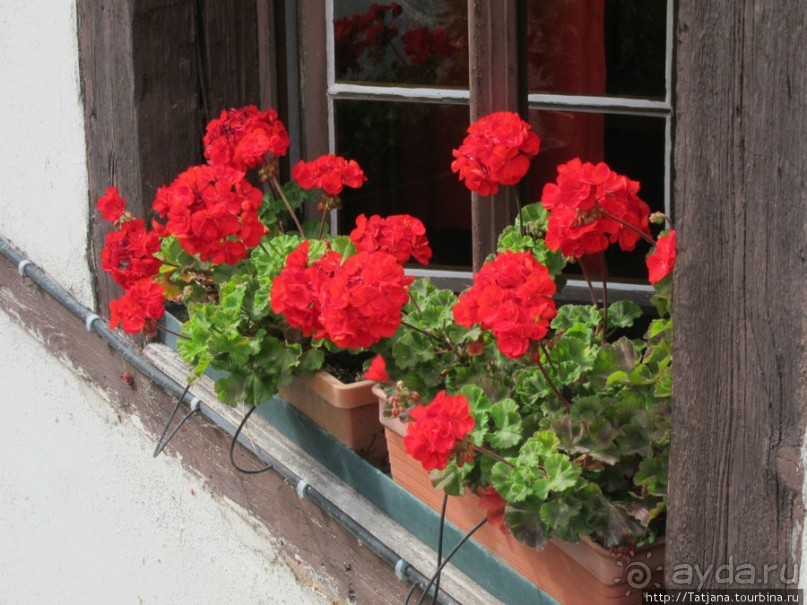 Архитектура и цветы Страсбурга.