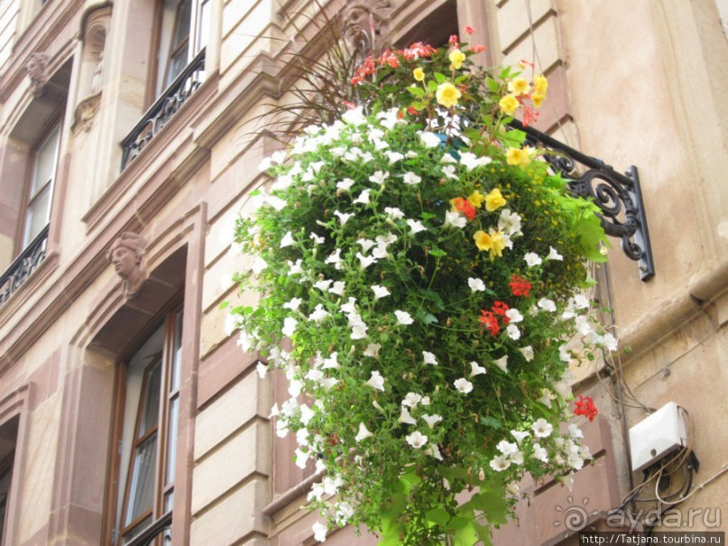 Архитектура и цветы Страсбурга.