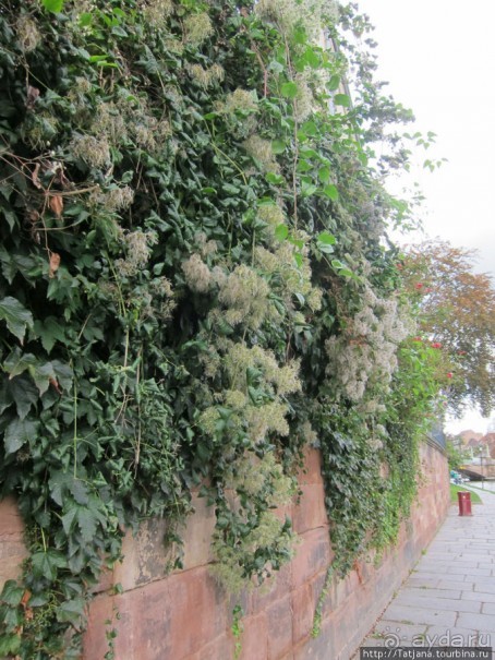 Архитектура и цветы Страсбурга.