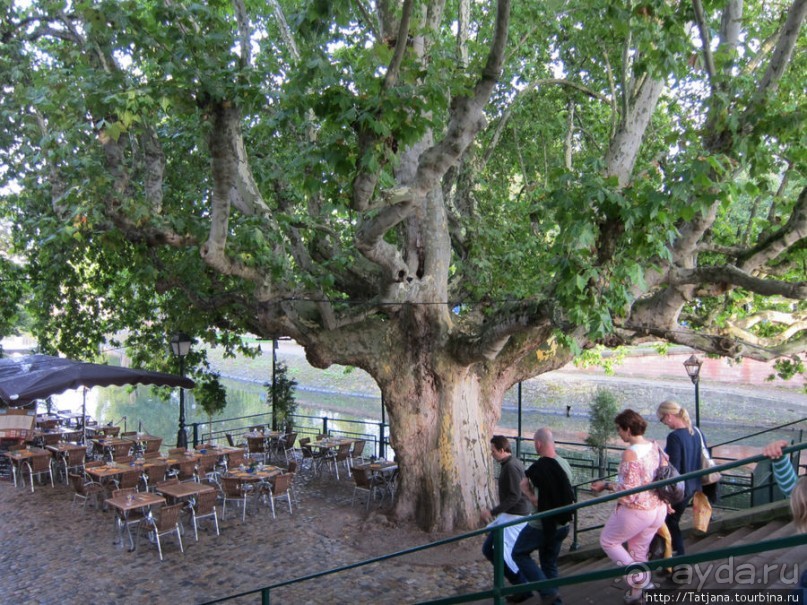 Архитектура и цветы Страсбурга.