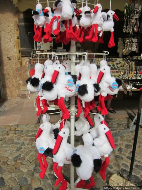 Архитектура и цветы Страсбурга.