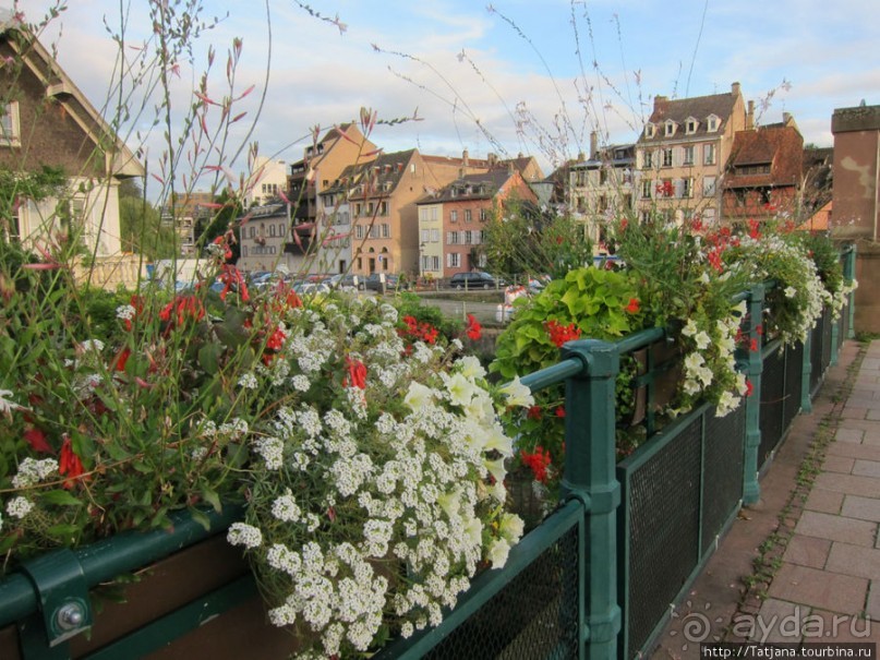 Архитектура и цветы Страсбурга.