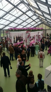 Павильон Орхидей в парке Keukenhof
