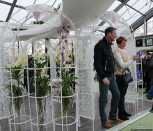 Павильон Орхидей в парке Keukenhof