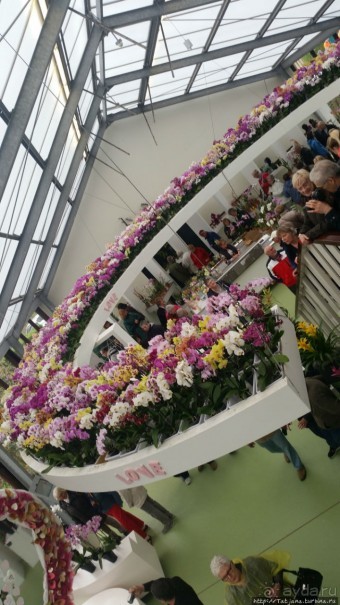Павильон Орхидей в парке Keukenhof