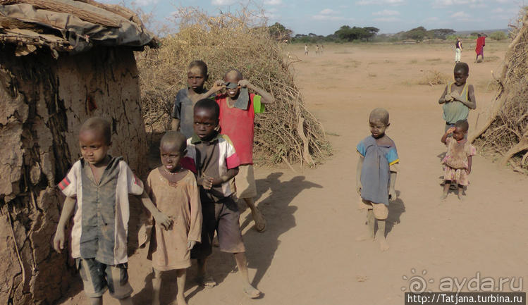 Альбом отзыва "Популярный отель на побережье Diani Beach"