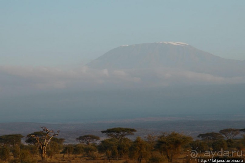 Популярный отель на побережье Diani Beach