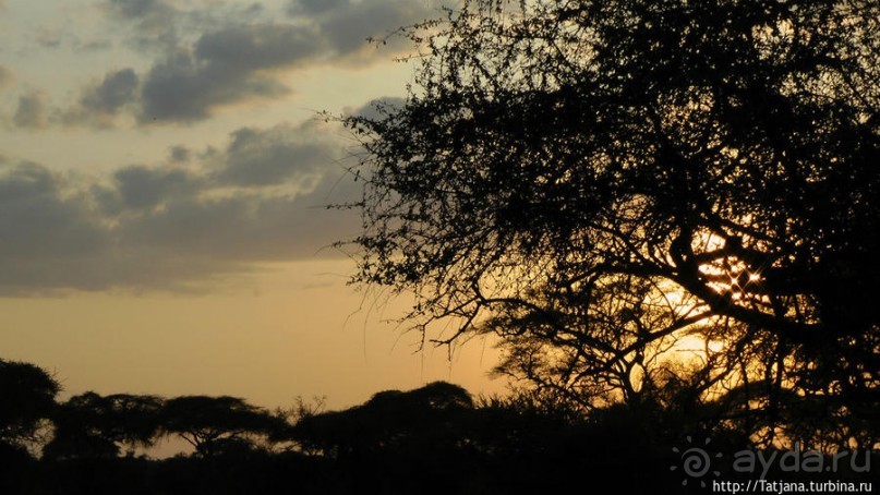 Популярный отель на побережье Diani Beach