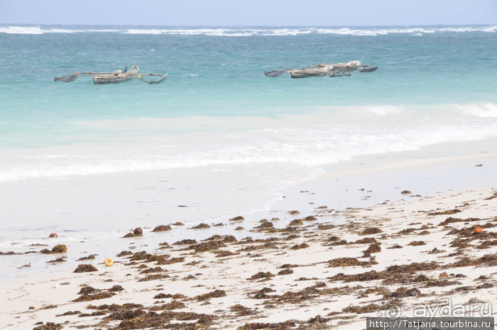 Популярный отель на побережье Diani Beach