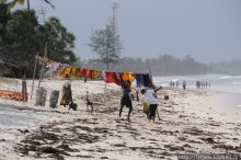 Популярный отель на побережье Diani Beach
