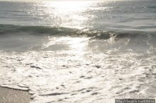 Популярный отель на побережье Diani Beach