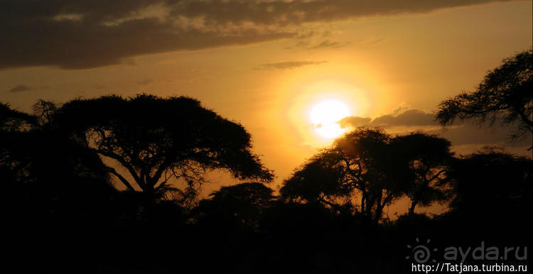 Популярный отель на побережье Diani Beach