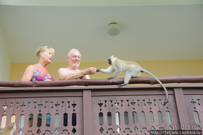 Популярный отель на побережье Diani Beach