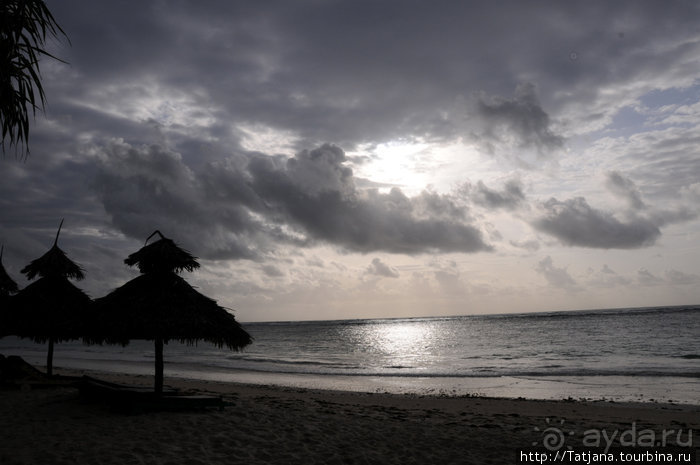 Популярный отель на побережье Diani Beach