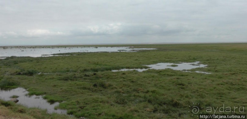 Популярный отель на побережье Diani Beach