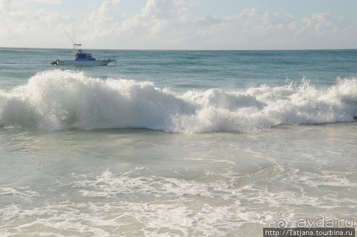 Популярный отель на побережье Diani Beach