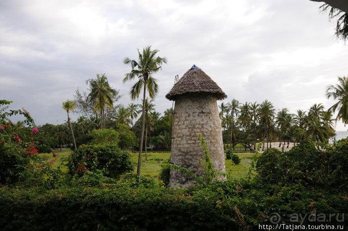 Популярный отель на побережье Diani Beach