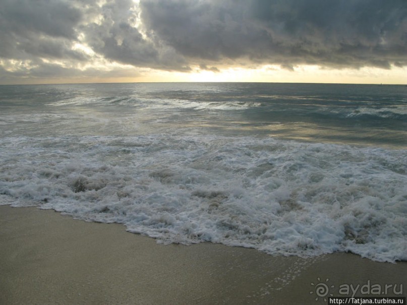 Популярный отель на побережье Diani Beach