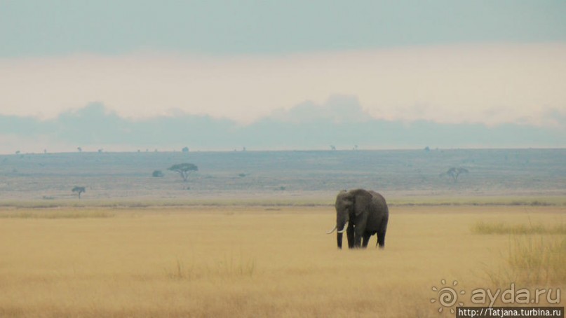 Популярный отель на побережье Diani Beach