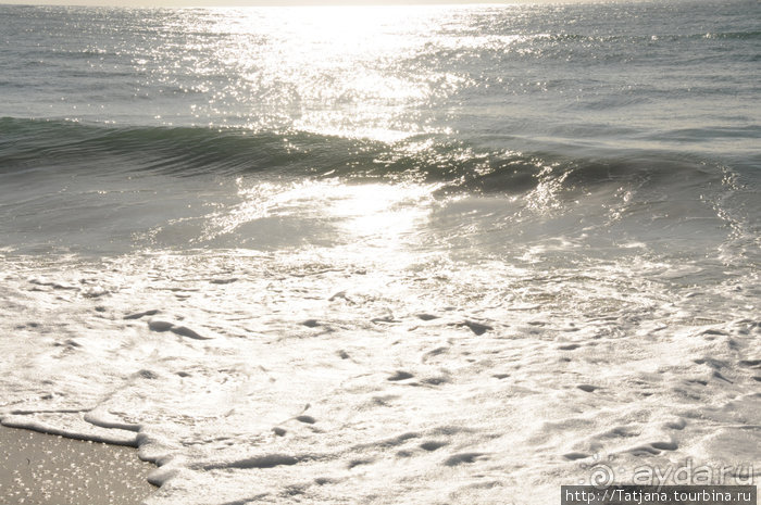 Популярный отель на побережье Diani Beach