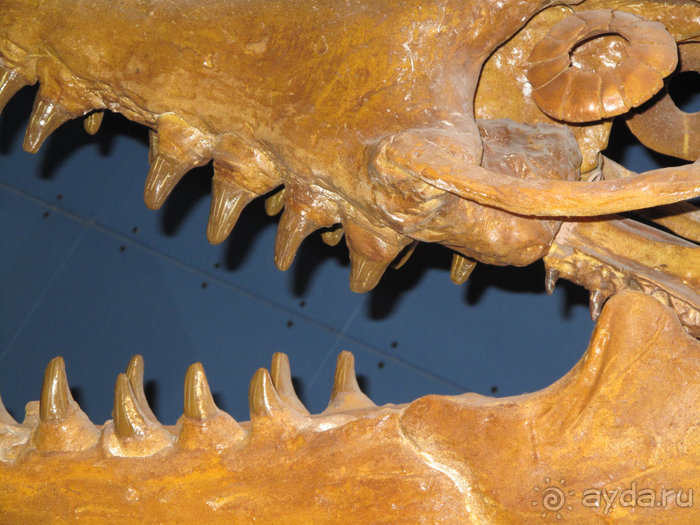 Cказочный город глазами туриста