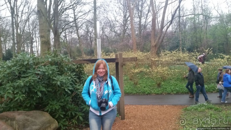 Весна в Голландии в парке Keukenhof