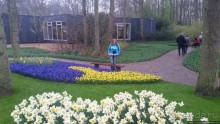 Весна в Голландии в парке Keukenhof