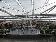 Весна в Голландии в парке Keukenhof