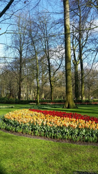 Весна в Голландии в парке Keukenhof