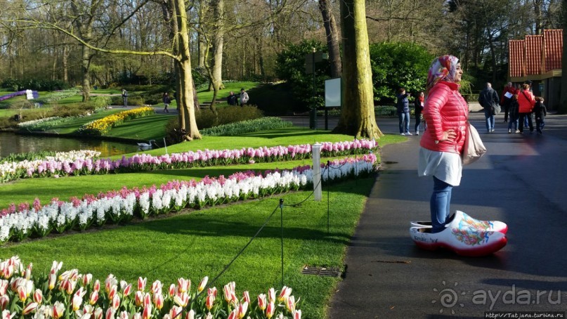 Весна в Голландии в парке Keukenhof