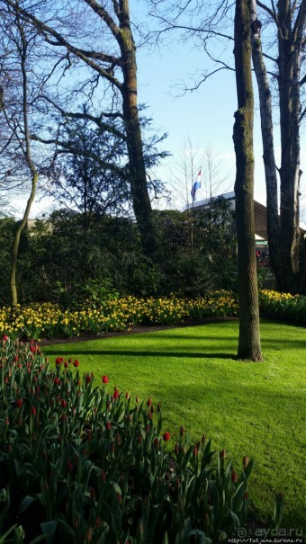 Весна в Голландии в парке Keukenhof