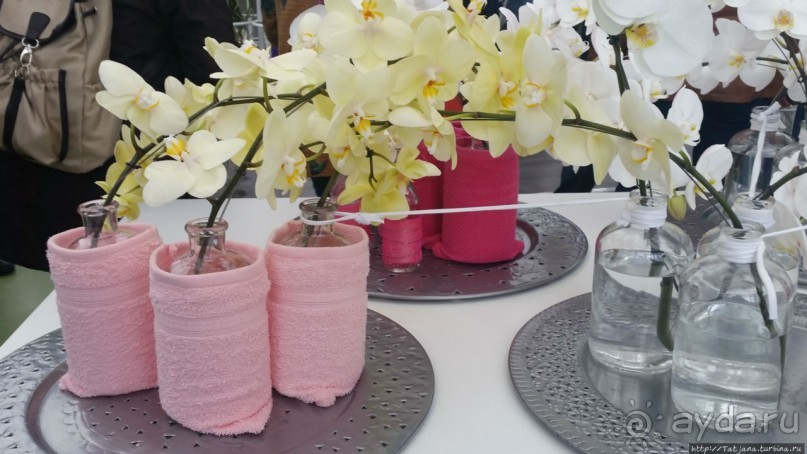 Весна в Голландии в парке Keukenhof