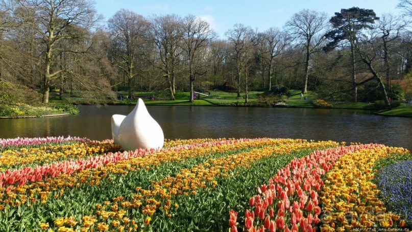 Весна в Голландии в парке Keukenhof