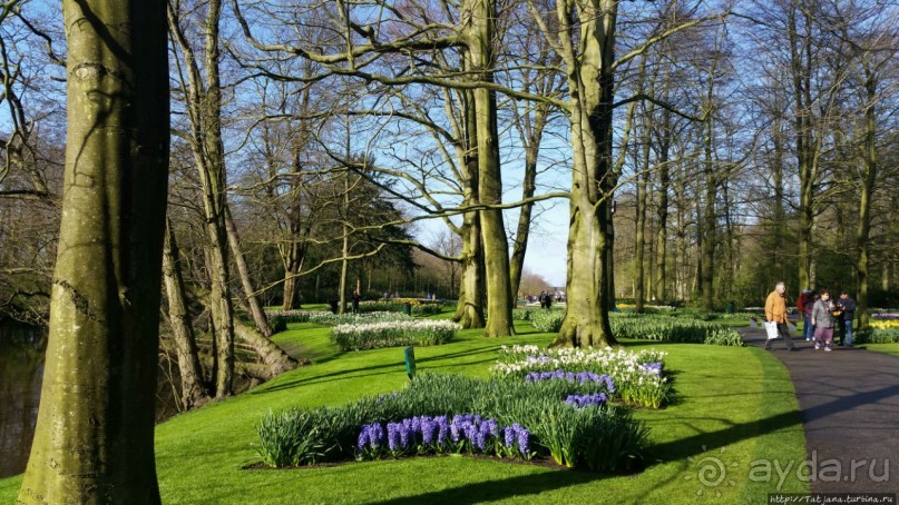 Весна в Голландии в парке Keukenhof