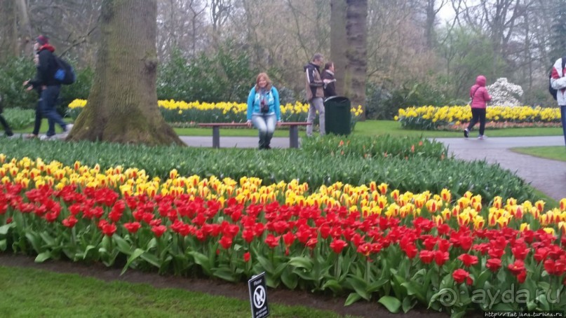 Весна в Голландии в парке Keukenhof