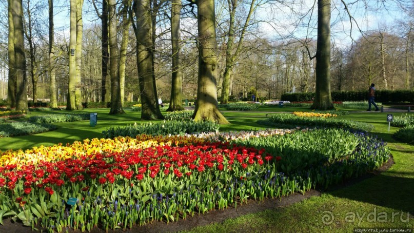 Весна в Голландии в парке Keukenhof