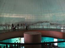 Самый крупный Океанариум в Европе.