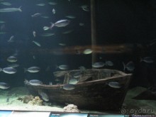 Самый крупный Океанариум в Европе.