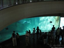 Самый крупный Океанариум в Европе.