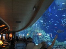 Самый крупный Океанариум в Европе.