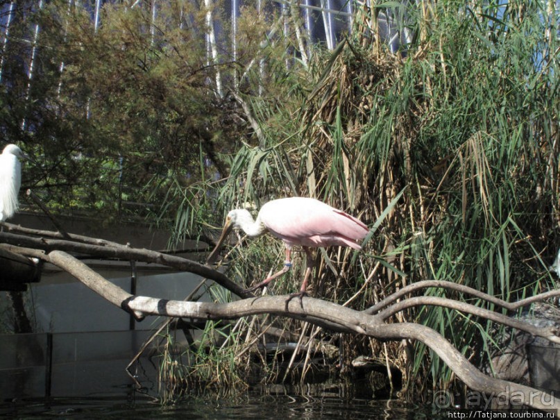 Самый крупный Океанариум в Европе.