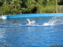 Самый крупный Океанариум в Европе.