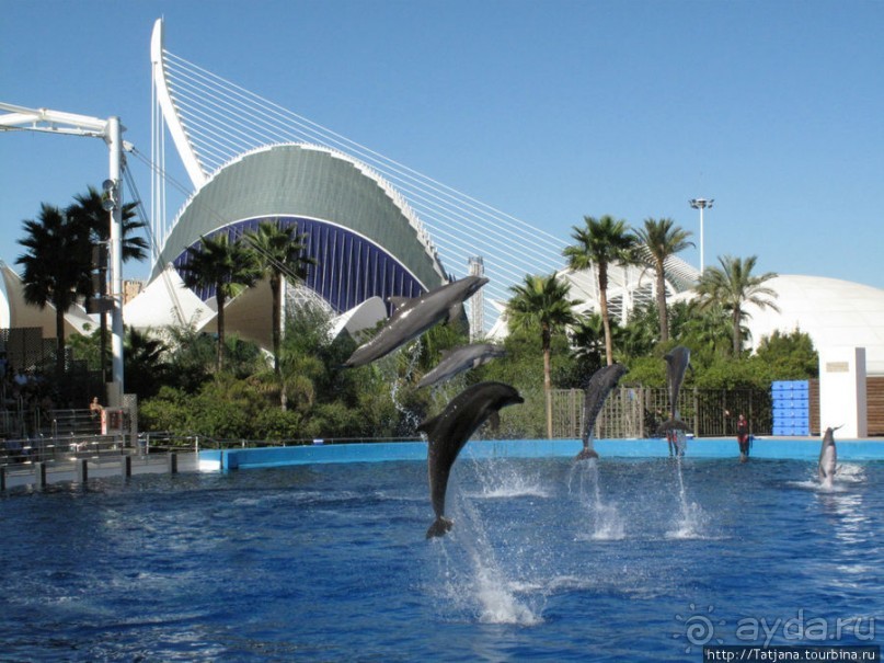 Самый крупный Океанариум в Европе.