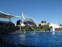 Самый крупный Океанариум в Европе.