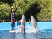 Самый крупный Океанариум в Европе.