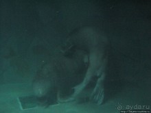 Самый крупный Океанариум в Европе.