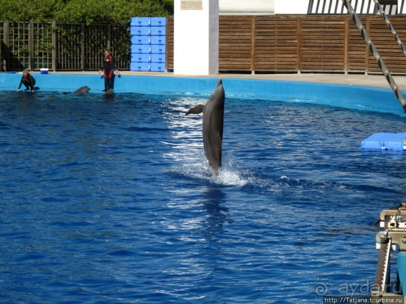 Самый крупный Океанариум в Европе.